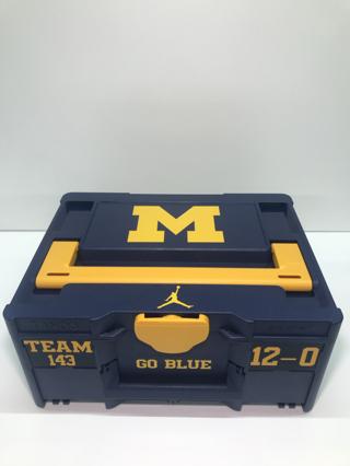 Go Blue! Systainer
