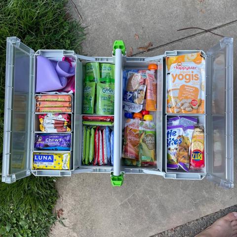 Travel Snack Systainers