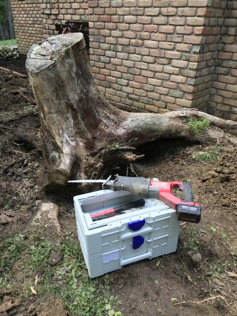 Tree Stump Removal