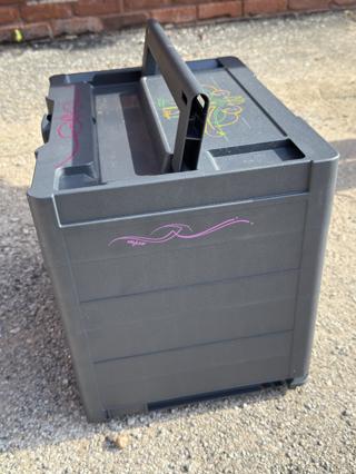 Hand Painted Systainer – photo 4