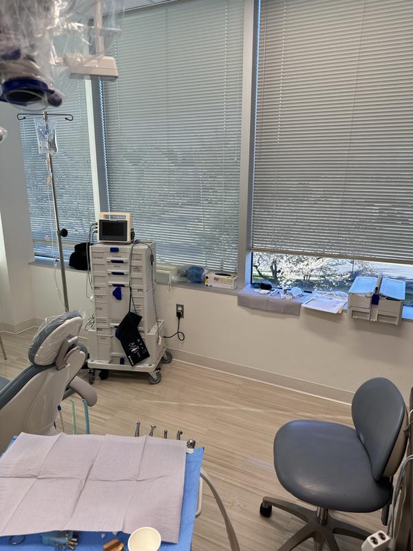 A dental office with a view (and Systainers)